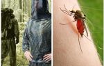 Quần áo từ muỗi, ve và midges - một cái nhìn tổng quan