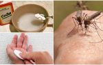 Muỗi cắn giải pháp soda cho trẻ em và người lớn