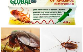 Cockroach Remedy Global (Toàn cầu)