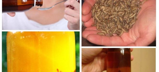 Bee moth cồn: những gì nó xử lý và làm thế nào để sử dụng nó