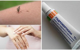 Thuốc mỡ Hydrocortisone cho muỗi đốt