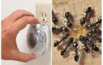Hiệu quả siêu âm ant repeller
