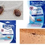 Bụi sạch nhà từ bedbugs