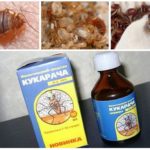 Cucaracha khắc phục cho bedbugs-1