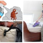 Phương pháp xử lý bedbugs