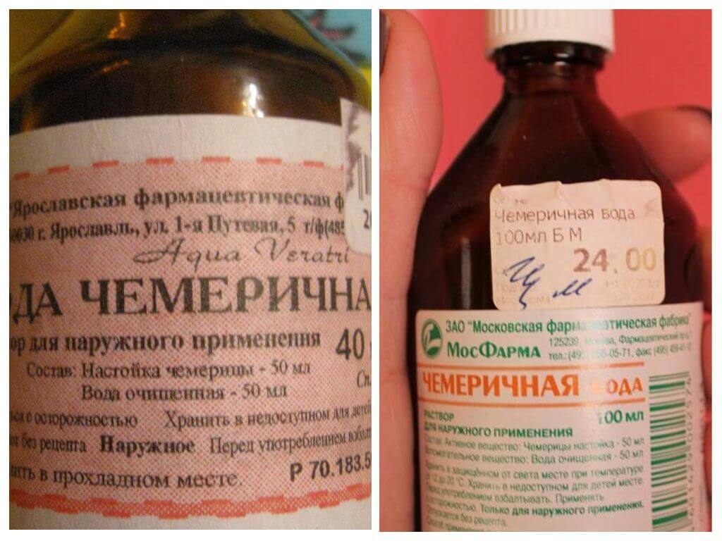 Chemerichnaya water-1