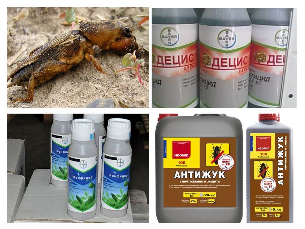 Các sản phẩm diệt côn trùng từ Medvedka