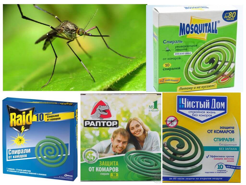 Thuốc chống muỗi
