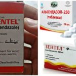 Benzimidazoles chống lại Giardia