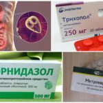 Các biện pháp phòng chống Nitroimidazole Anti-Giardia